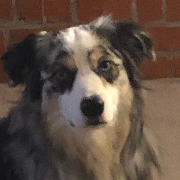 Meet your Posher, Jeff - Picture 1 of 1